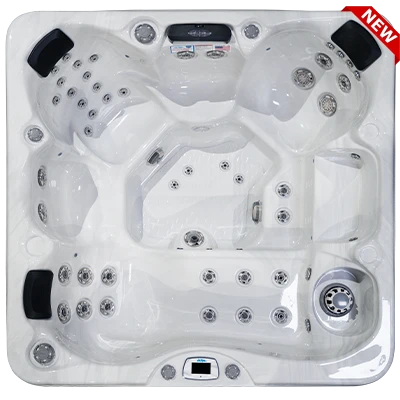 Costa-X EC-749LX hot tubs for sale in Flint