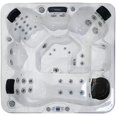 Avalon EC-849L hot tubs for sale in Flint