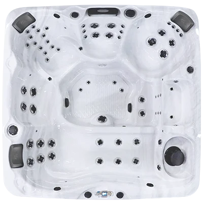 Avalon EC-867L hot tubs for sale in Flint
